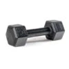 SPARTAN Hex Steel Dumbbell