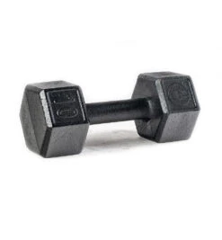 SPARTAN Hex Steel Dumbbell -Sportswear Store PDP Main Size 10