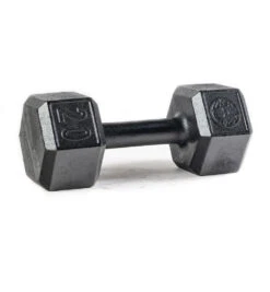 SPARTAN Hex Steel Dumbbell -Sportswear Store PDP Main Size 20