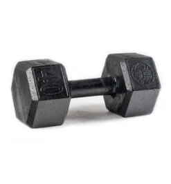 SPARTAN Hex Steel Dumbbell -Sportswear Store PDP Main Size 40