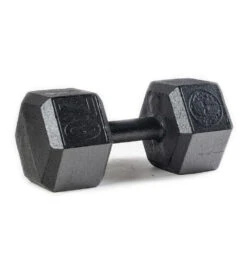 SPARTAN Hex Steel Dumbbell -Sportswear Store PDP Main Size 70